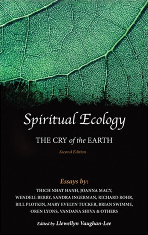 Spiritual Ecology: The Cry of the Earth (Paperback or Softback)