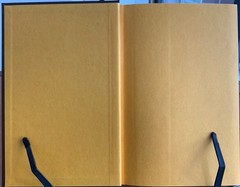 1993 SIGNED & Limited The Throat by Peter Straub in Slipcase Borderlands Press