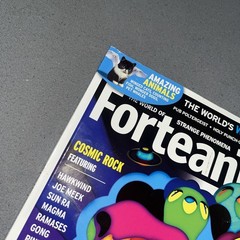 Fortean Times Magazine #244 February 2009 FREE SHIPPING ForteanTimes