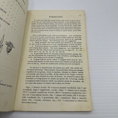 Common Edible and Useful Plants of the West Muriel Sweet c1962 PB 116 Plants