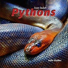 Pythons Library Binding Julie Fiedler