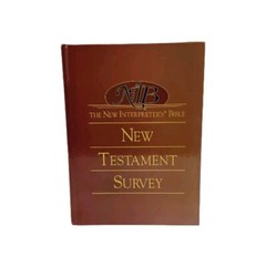The New Interpreters Bible New Testament Survey Abingdon Press 2005 Hardcover