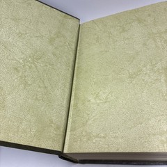 The Living Bible Paraphrased TYNDALE (1971, Hardcover) Dark Green