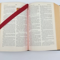 Vintage 1953 Catholic Family Holy Bible John J Crawley Illustrated Hardcover