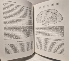BRAIN AND PERCEPTION: K. H. Pribram HC/Very Good (see photos:)