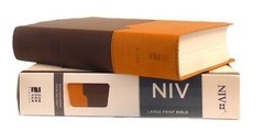 5 Bibles NIV Bible Large Print DuoTone free shipping in shrink wrap BRAND NEW!!!