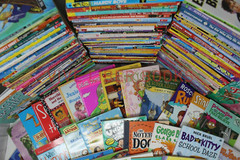 Lot of 25 of Children’s Kids Chapter Books – Random – Free Shipping!