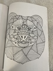 New kaleidoscope Coloring Books For Adults/Kids Lot of 6 Wolves/Cats MSRP 9.99ea