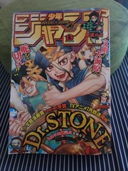 Weekly JUMP Shonen Jump 2019 #13 Dr. STONE Japanese Manga Anime Magazine