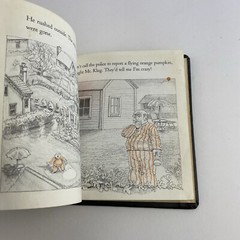 The Mystery Of The Flying The Orange Pumpkin Steven Kellogg Vintage Kid Book 1st