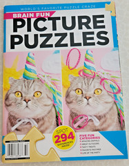 Brain Fun Picture Puzzles: Bundle of 2 – 63 Pages & 5 Categories of Fun In Each