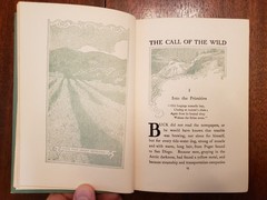 The Call of the Wild by Jack London 1st edition 1903 scarce Canadian edition