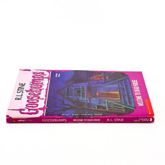 Goosebumps Welcome To Dead House Unnumbered 1st Edition/2nd Print – R.L Stine
