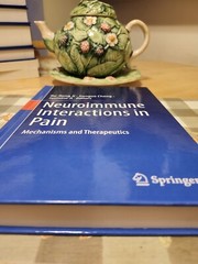 Neuroimmune Interactions in Pain : Mechanisms and Therapeutics by Jianguo Cheng