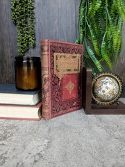Poems and Plays of Oliver Goldsmith ca 1891 – Hurst and Co Illustrated