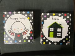 Fiona Watt Baby’s Very First Black and White Little Librar (Mixed Media Product)