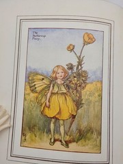 THE BOOK of THE FLOWER FAIRIES by Cicely Mary Barker – Very Clean Volume c1927