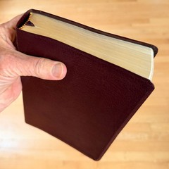 NIV Study Bible Leather Zondervan Red Letter Edition Maroon Like New