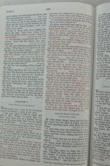 The Open Bible Expanded Edition NASB Brown Genuine Leather RL 1985 Nelson 976BR