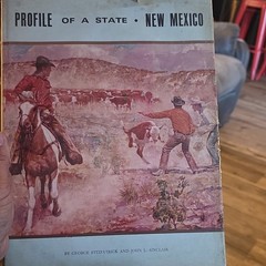 Profile of a State: New Mexico Fitzpatrick & Sinclair 1961 1st HC Illus