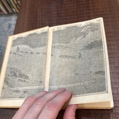 CALL OF THE WILD by Jack London Illust 1910 Grossett Pub. Norwood Press B29