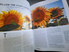 The Old Farmer’s Almanac Garden Guide 2026 – All Information Needed For Success