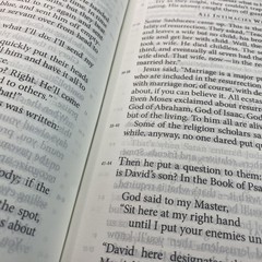 The Message Bible Eugene Peterson Apress Brown Leather Large Print Numbered USA