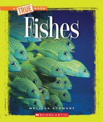 Fishes (True Books : Animals) – Paperback By Stewart, Melissa – GOOD