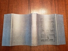 The Call of the Wild by Jack London 1st edition 1903 scarce Canadian edition