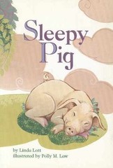 READING 2000 LEVELED READER 1.09B SLEEPY – Paperback, by Scott Foresman – Good