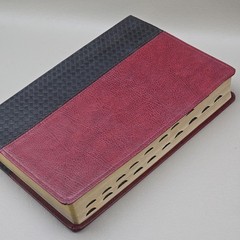 Oxford Scofield Study Bible ESV Red Letter Genuine Leather Thumb Indexed Oxford