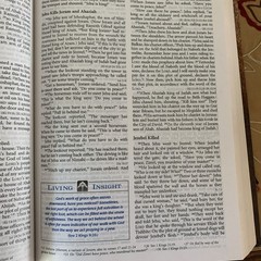 Living Insights Study Bible Burgundy