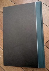 The Nibelungenlied Slipcase Box Vintage 1961 German Myth Edy Legrand Illustrated