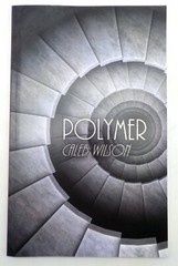 POLYMER Caleb Wilson Eraserhead Press 2018 Bizarro Fiction