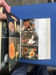 MUSHROOMS OF NORTH AMERICA by O.K. Miller, HC/DJ 4th Ed, 422 color plates, VG+