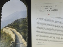 tao te ching book Laozi 2011 New Illustrated Edition Translated By Chad Hansen