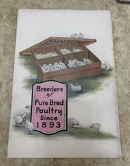 Early Original VINTAGE FRANK FOY & SONS “POULTRY FOR PROFIT” BOOKLET, CHICKENS