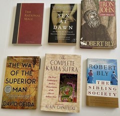 Lot of 6 Books – David Deida, Robert Bly, Tomassi Relationship Masculinity Sex