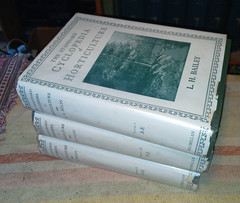 STANDARD CYCLOPEDIA OF HORTICULTURE 3 Vol. 3500ppHc Dj by L.H.Bailey 1928