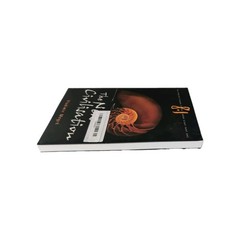 The New Civilisation 2nd Ed Book 8.1 of The Ringing Cedars Series Vladimir Megre