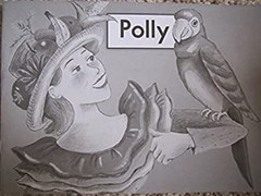Polly Fountas and Pinnell Leveled Literacy Intervention Books, Or