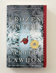 The Frozen River: A Novel by Ariel Lawhon Paperback Fiction Young Adult