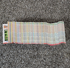 Lot of 53 Ann M. Martin The Babysitters Club Paperback Books