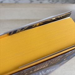 Hand signed The Broken Binding – The Dark Mirror- Samantha Shannon
