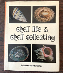 Shell Life And Shell Collecting Sonia Murray Illustrated Hardcover Dust Jacket
