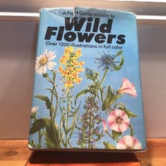Dietmar Aichele,FIELD GUIDE IN COLOR TO WILD FLOWERS,1st English Edition