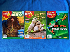 Lot Of 33 National Geographic Kids, Ranger Rick, RR Jr Magazines 2019-2025
