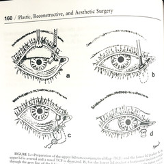 Vintage Year Book of Plastic, Reconstructive and Aesthetic Surgery Book 1998