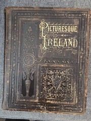 1878 1st Ed Picturesque Ireland John Savage Illustrated Steel Engravings Book