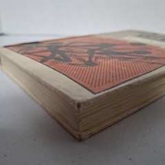 THE OUTSIDERS by S. E. HINTON 1967 Reinforced Binding VIKING PRESS Ex Libris